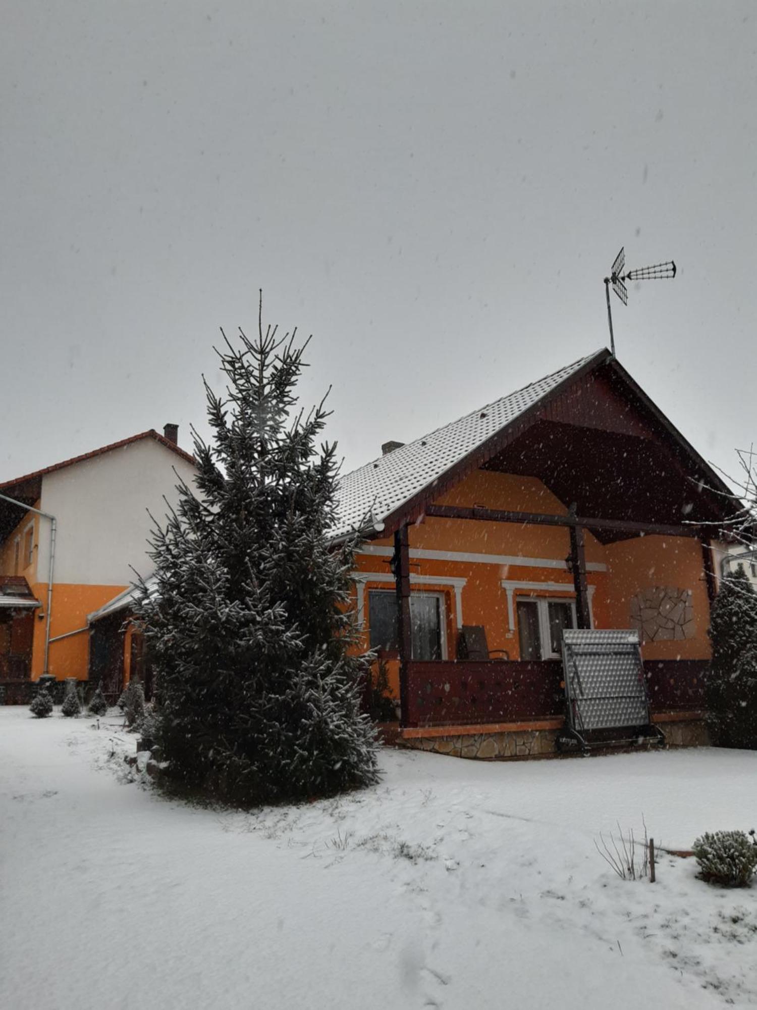 Andrea Vendeghaz Daire Kehidakustány Dış mekan fotoğraf